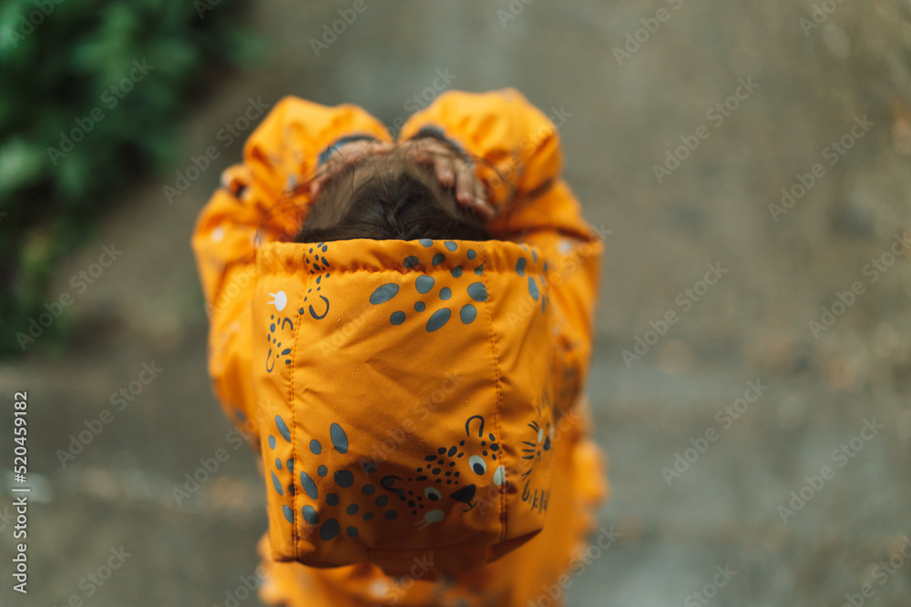 Girl in yellow rain suit standing in the rain. Girl in yellow rain suit standing in the rain.