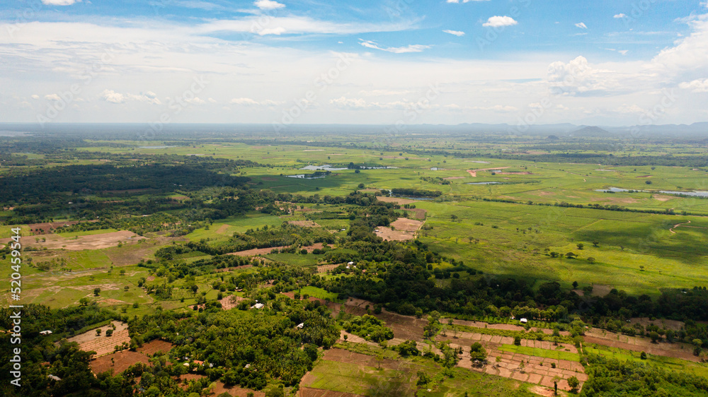 Agricultural land and farm fields with crops in the valley. Rural landscape. Sri Lanka.