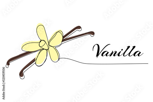 Continuous one line drawing of vanilla. Modern style vector illustration on isolated background.