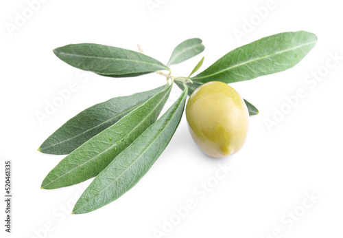 Tasty canned green olive isolated on white