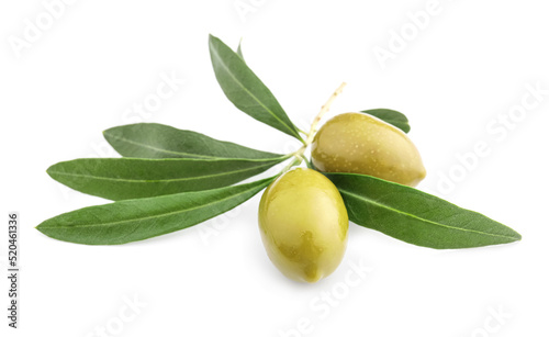 Tasty canned green olives isolated on white