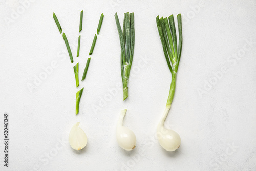 Composition with fresh gree...