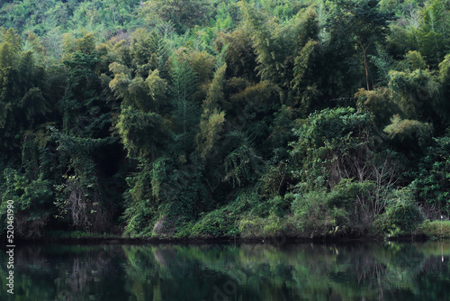 Morning in the jungle, beautiful river kwai in kanchanaburi province, Thailand. vacation and travel concept.