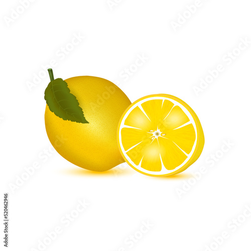 Fresh lemon with a leaf and slice vector.