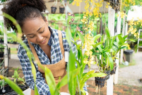 Cheerful African woman taking care of the orchid plants in the greenhouse.Farm owner in greenhouse Orchid Flower.Cutting Stem.