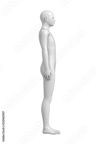 Man  Human Male Body  3D