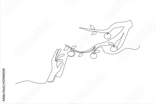 Fototapeta Naklejka Na Ścianę i Meble -  Single one line drawing hand take a ripe persimmon tree for persimmons. Happy chuseok concept. Continuous line draw design graphic vector illustration.