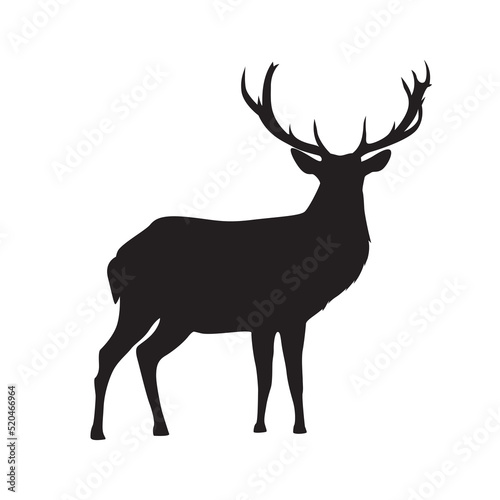 Deer silhouette vector isolated. Adult deer  stag with horns.