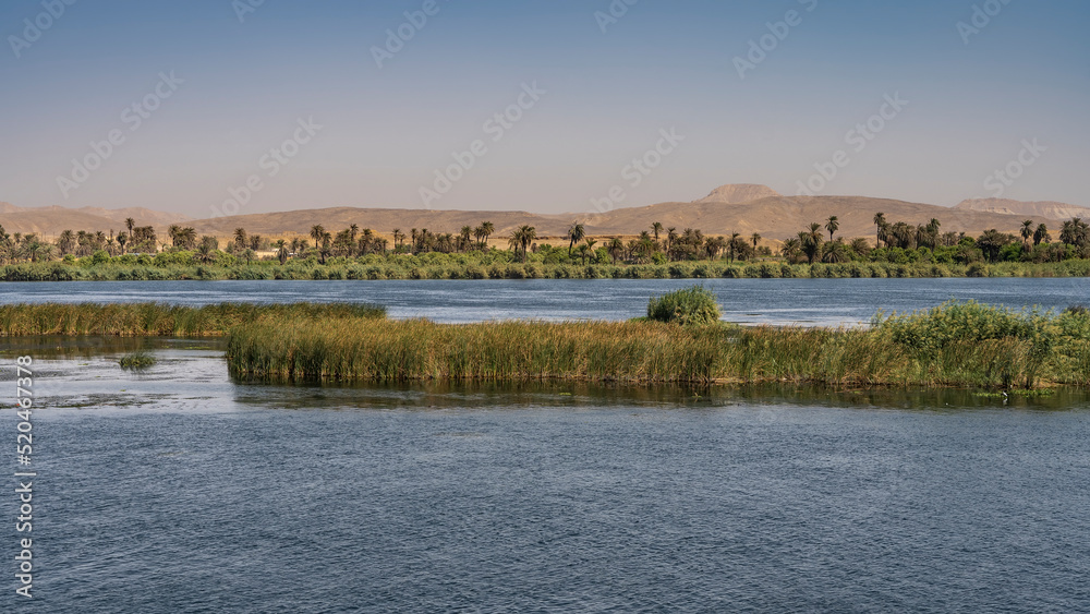Thickets of green vegetation are visible on the shore and in the riverbed. Ripples on the blue water. Sand dunes against a clear sky. Copy space. Egypt. Nile