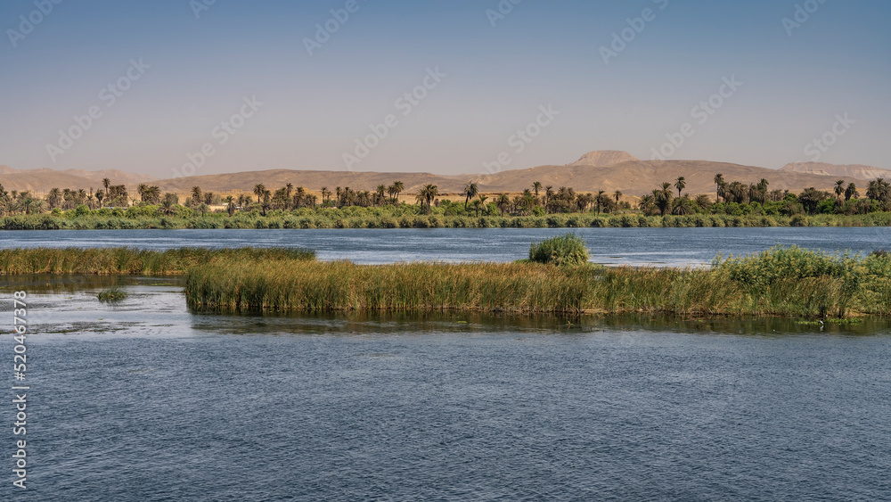 Thickets of green vegetation are visible on the shore and in the riverbed. Ripples on the blue water. Sand dunes against a clear sky. Copy space. Egypt. Nile Thickets of green vegetation are visible on the shore and in the riverbed. Ripples on the blue water. Sand dunes against a clear sky. Copy space. Egypt. Nile