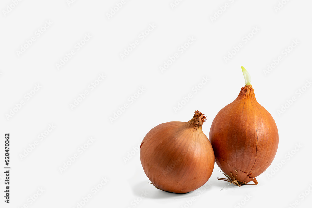 Brown onion isolated on white background.