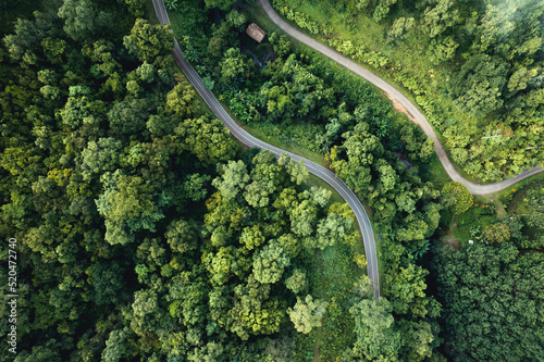 Aerial view of green summer tree and forest with a road © artrachen