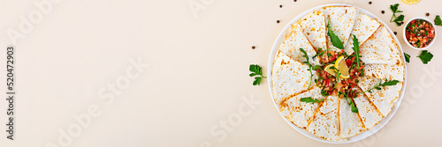 Delicious quesadilla with chicken, corn and salsa. Banner.
