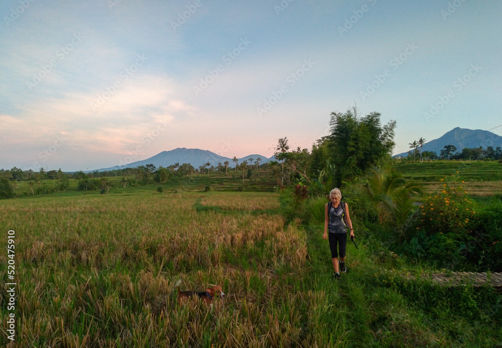 A woman walking around rice field with the dog, surrounding by beautiful landscape.