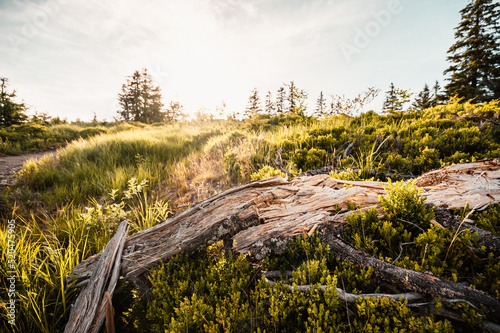 Low Tatras Mountains, Slovakia. South View form the Ridge. Traveler hiking with backpacks on Lajstroch paek  from certovica saddle. Slovakia mountains landscape photo