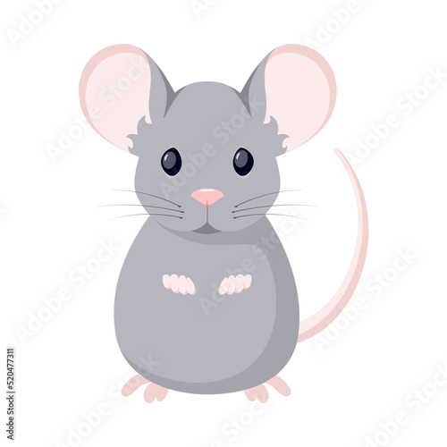 A gray mouse on a white background. Cartoon design.
