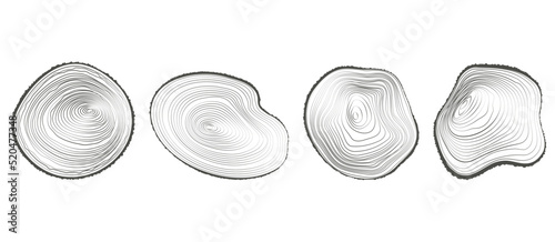 Tree rings wooden logs. Circle annual stump texture. Vector line timber slices set.