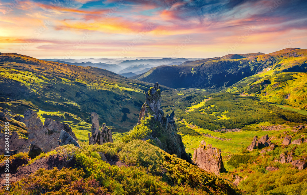 Sunny morning view of popular tourist destination - Shpytsi cliffs. Fantastic sunrise in Carpathians. Picturesque landscape of mountain valley, Ukraine, Europe. Beauty of nature concept background..