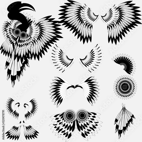 vector wings are successfully used to make various images, lines, angel wings