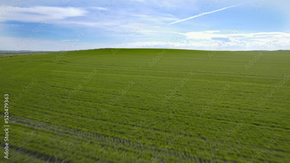 Aerial view on corn field with high speed. Aerial view on corn field with high speed.