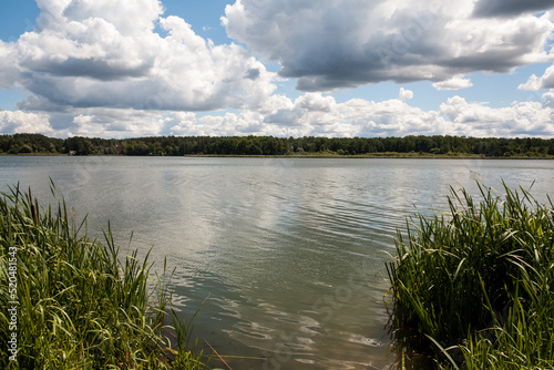 Picturesque landscape with a cloudy sky and a wide river. In the distance  across the river  there is a forest. An image as a background for your travel and nature illustrations.