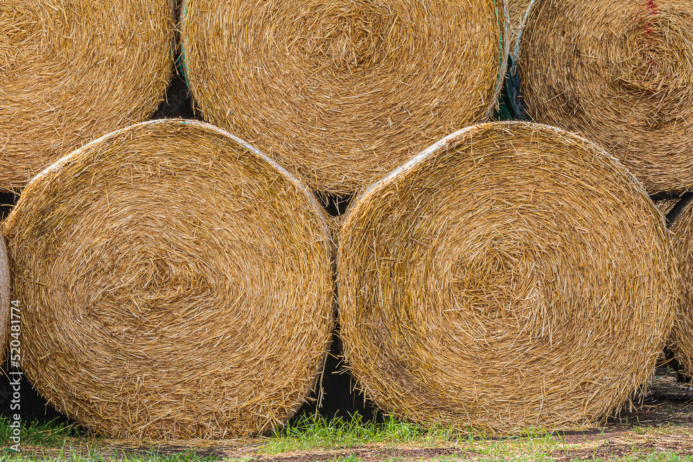 Details Bales of hay at the edge of the field after harvest. Bales of straw next to each other. and hay pressed into straw bales. Structures of dry golden brown straw. turf on the ground Details Bales of hay at the edge of the field after harvest. Bales of straw next to each other. and hay pressed into straw bales. Structures of dry golden brown straw. turf on the ground