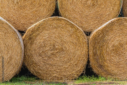 Hay bales at the edge of the field after harvest. Straw and hay pressed into straw bales. hay bales next to each other. Structures of dry golden brown straw. turf on the ground
