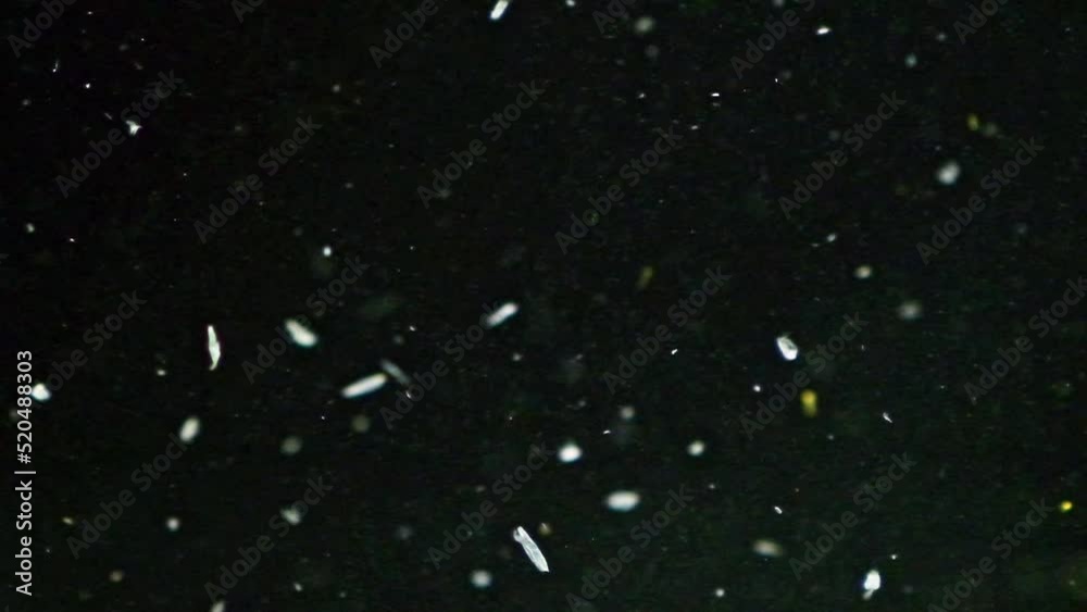 Shiny organic particles floating undersea. Abstract water black background.