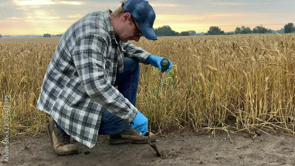 Agronomy specialist measuring soil pH value, moisture, temperature by using soil tester at agricultural wheat field sunrise. Farmer working, applying measuring instrument outdoors. Soil certification