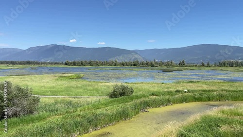 Scenic view of swamp near Creston, Canada photo