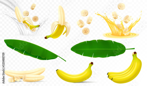 Set of banana fruits, bunch of bananas, peel, peeled banana, slices and halves, leaves from a banana palm, splash of banana in milk or juice. Realistic 3d vector illustration, isolated