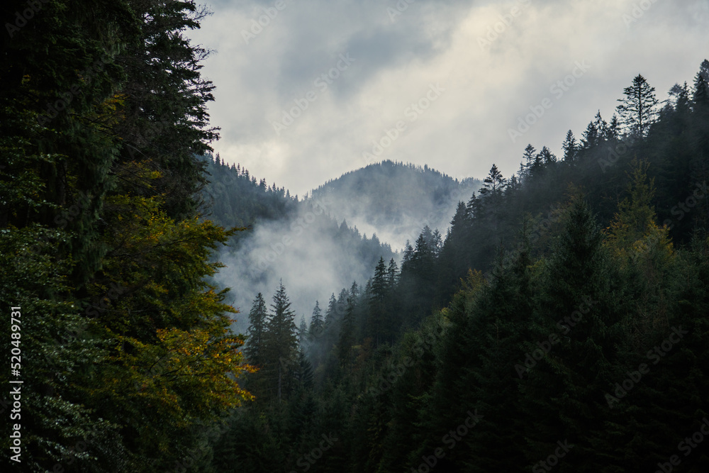autumn overcast carpathian mountains