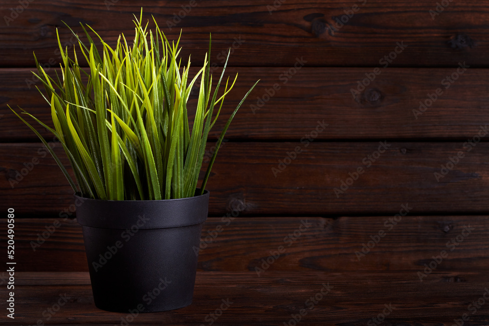 Artificial grass in plastic pot on wooden background with copy space Artificial grass in plastic pot on wooden background with copy space