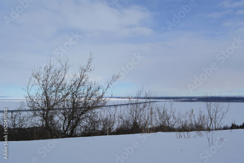 Wallpaper Mural Winter scene with view on bridge over frozen river through branches of leafless tree Torontodigital.ca