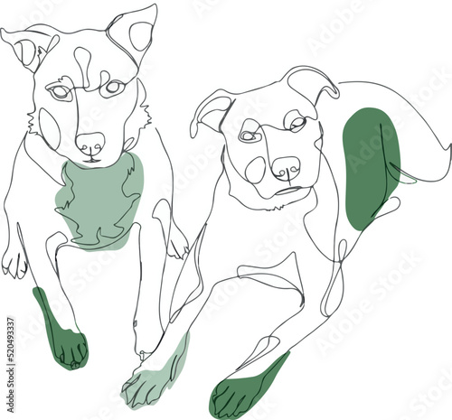   illustration of the dogs, drawing on a white background
