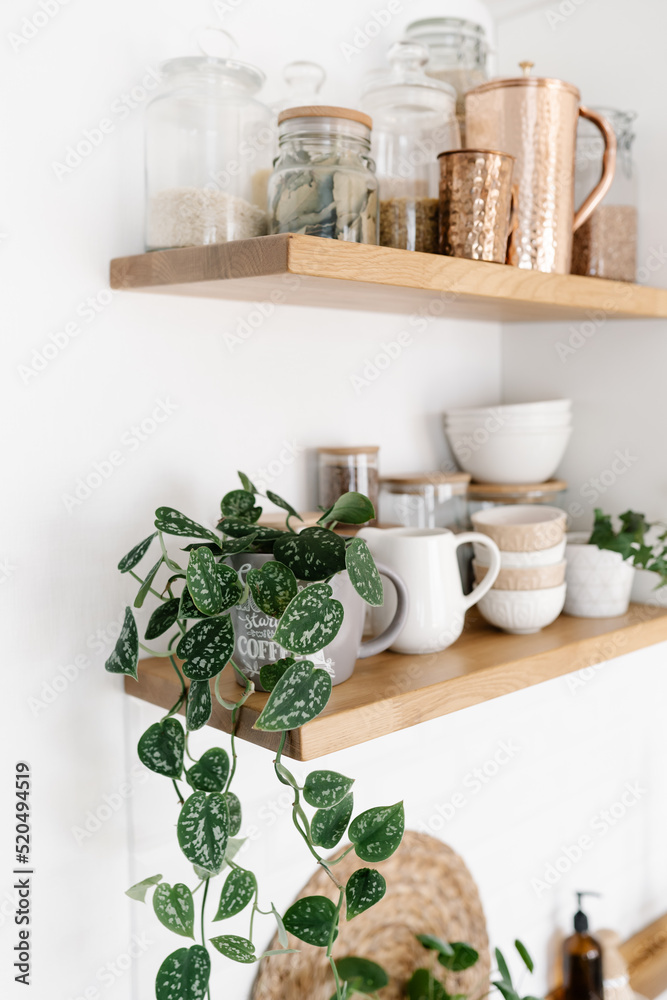 Kitchen shelves with plants, various white ceramic and glass jars. Open shelves in the kitchen. Kitchen interior ideas. Eco friendly kitchen, zero waste home concept Kitchen shelves with plants, various white ceramic and glass jars. Open shelves in the kitchen. Kitchen interior ideas. Eco friendly kitchen, zero waste home concept