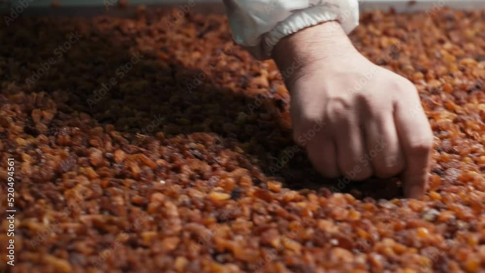 Raisins on the sorting machine at the factory. Raisins processing plant. close up .4K.2