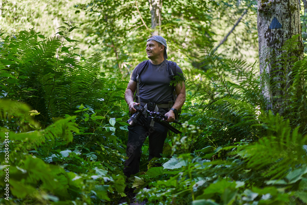 Nature photographer hiking in the forest Nature photographer hiking in the forest