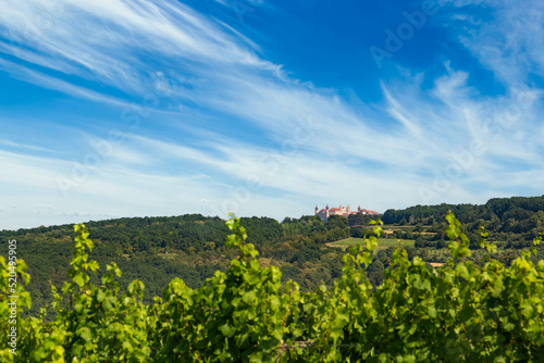 View of Gottweig Abbey from vineyards, Lower Austria
