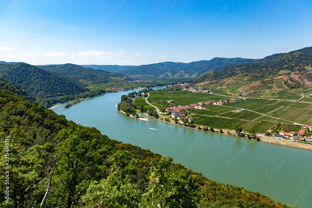Vineyards by the Danube river in Wachau valley. Lower Austria.