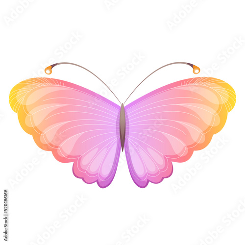 Bright magic colorful butterfly. Vector illustration.