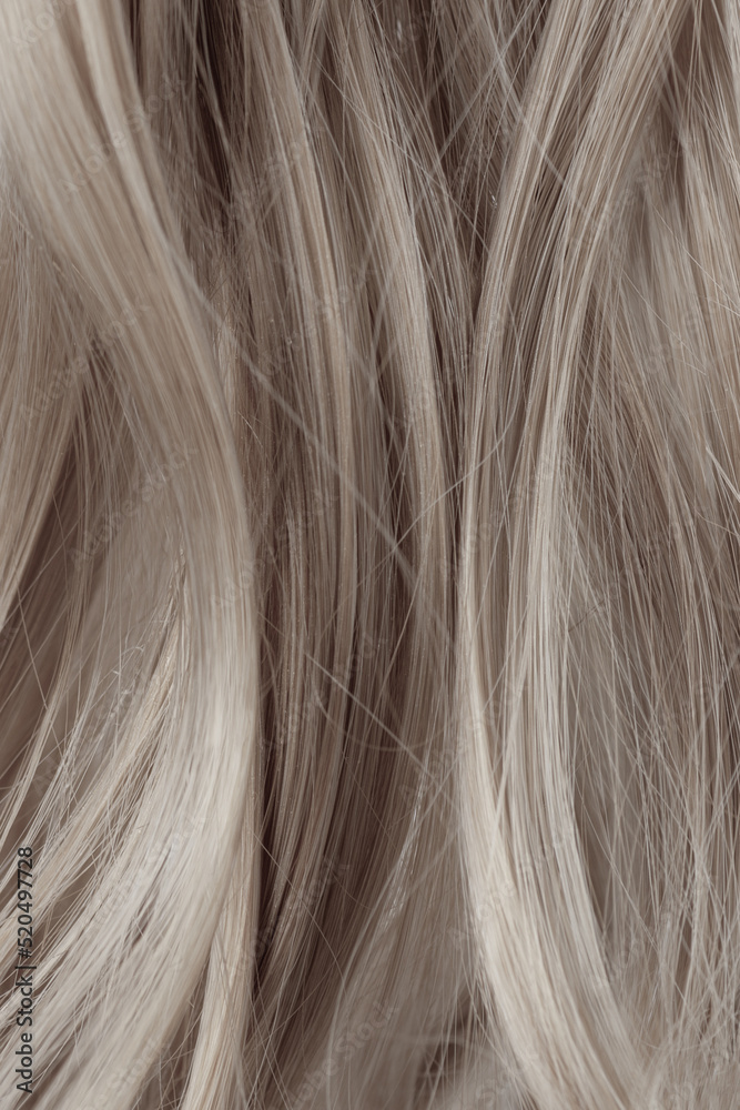 Gray curly hair texture closeup. Light gray hair background. Gray curly hair texture closeup. Light gray hair background.