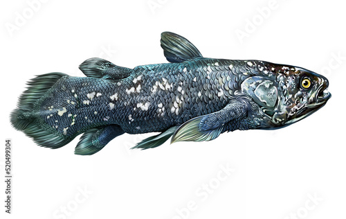 Latimeria, a prehistoric creature