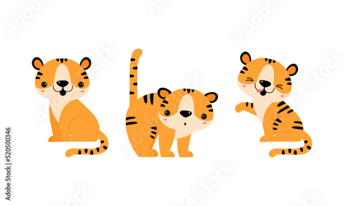 Cute Little Striped Tiger Cub with Orange Fur Sitting and Licking Vector Set
