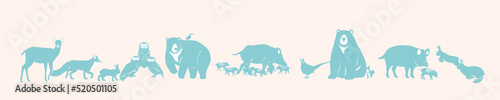 Wildlife