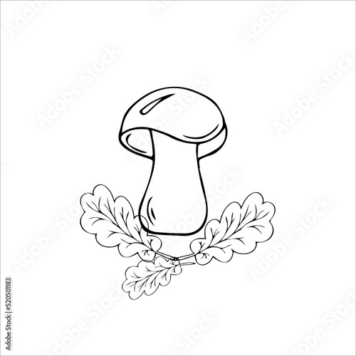 Boletus mushroom in the grass, contour illustration, coloring page, handmade.