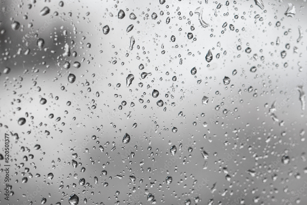 Full frame photo of water drops after rain Full frame photo of water drops after rain