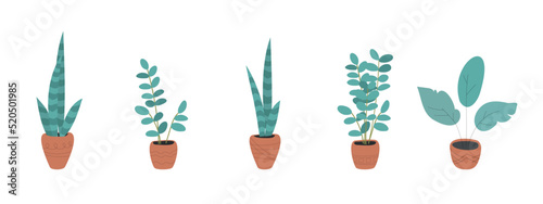 Set of green plants growing in ceramic pots. Urban jungle decor, hygge style. Hand-drawn vector illustration in pastel colours isolated on white. 