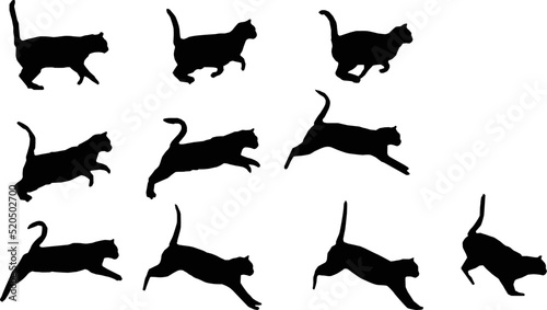 Image sequence of cat jumping animation.