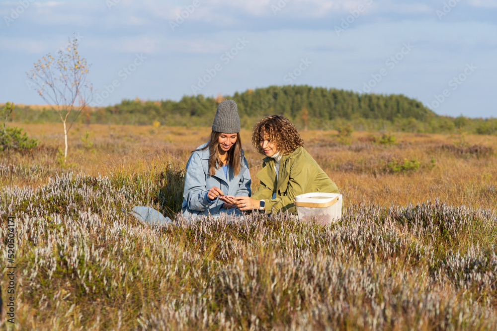 Couple of young women best friends sits sorting berries on autumn meadow grass against blurry green forest. Women wearing blue and green jackets enjoy picnic spending time on nature at sunlight Couple of young women best friends sits sorting berries on autumn meadow grass against blurry green forest. Women wearing blue and green jackets enjoy picnic spending time on nature at sunlight